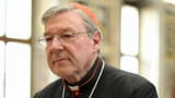 Cardinal-Pell
