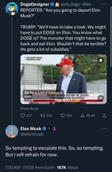 trump elon beef