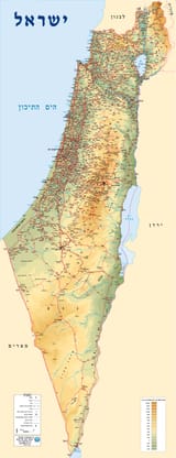 1739572343135163