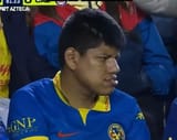 Mexiarios