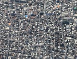 turkey really looks like that