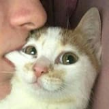 1585100781729