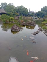 IMG_COM_202507021243002502