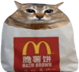 1739028429914402