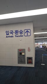1000026137