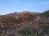 IMG_20250629_114514