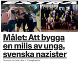 Skärmklipp