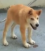 1725074697907011