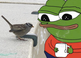 1720199447197590