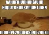 EtnagejXMB0kCuQ