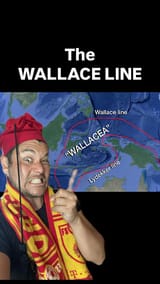 1736411794543910