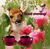 tenor_gif5282690110127532587