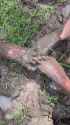 1751474880556_thumb.jpg