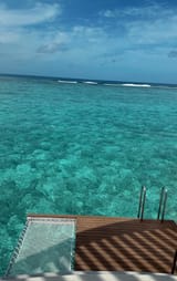 IMG_1121