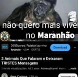 maranhao