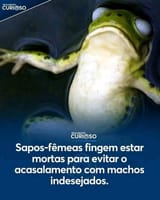 51487354173