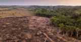 11182021-amazon-deforestation-istock-facebook