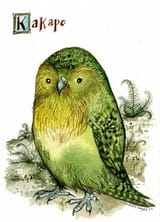 2cb6830eee3ff2af58a71f830c693337--owl-illustration-illustration-children