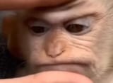 1740883992643948