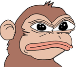 chimpa