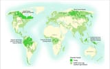 The-largest-intact-forest-regions-on-earth-are-primarily-confined-to-five-regions-the