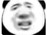 1743045527055074