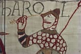 death-king-harold-showing-arrow-eye-3657591