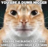 nBvcijjt
