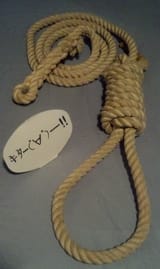 japanese noose