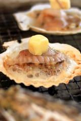 scallopbutter._V287124944_