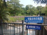 IMG_COM_202507031621012442