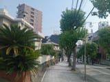 IMG_COM_202507031621001950