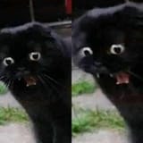 aaahhhhhh
