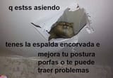 Cat espalda