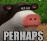 perhaps-cow-3650607622