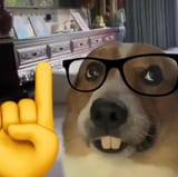 actually dog