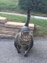 images (18)