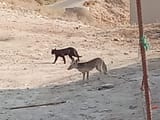 IMG_20250623_080028
