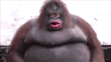 uh-oh-stinky