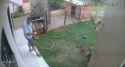 PGn3NfSxJ76p83QOu4K_4_EswkM1qpARhR9gDutCqSU_thumb.jpg