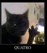 meu-gato-fica-com-frio-nessa-época-do-ano-v0-1imlk9xr1d1f1