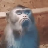 8996