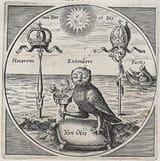 owl5