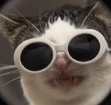 1708817787023725