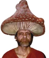 shroomted