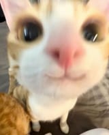 1727848829225737