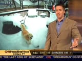 012901_bobvandillen