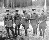nkvd