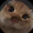 214337_thumb.jpg