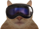 1707127012-chat